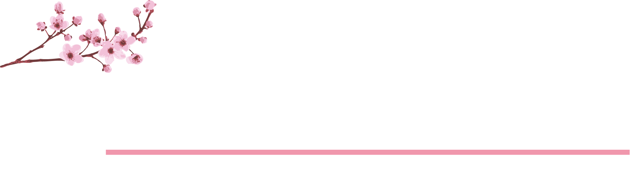 LES AVANTIS